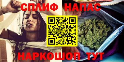 Альфа ПВП Славянск-на-Кубани