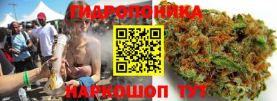 крисы Сланцы