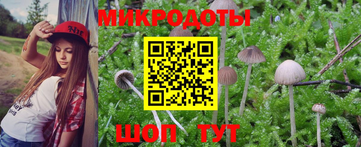 Псилоцибиновые грибы GOLDEN TEACHER  Галлюциногенные грибы Psilocybe  Вход с VPN  Мурино 